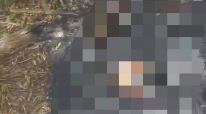 Urgente: Corpo é encontrado incendiado em Caraíbas