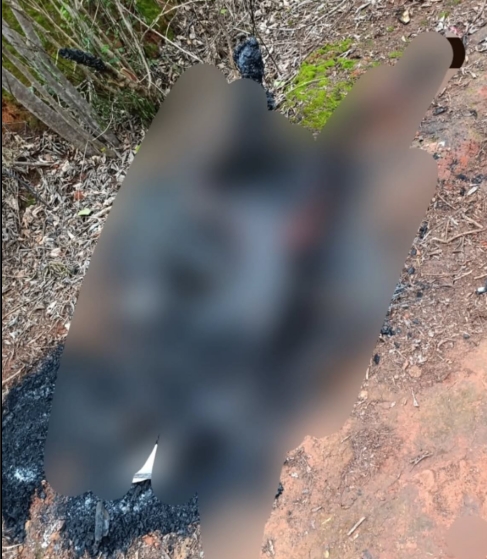 Urgente crime brutal: Segundo corpo carbonizado é encontrado em Caraíbas