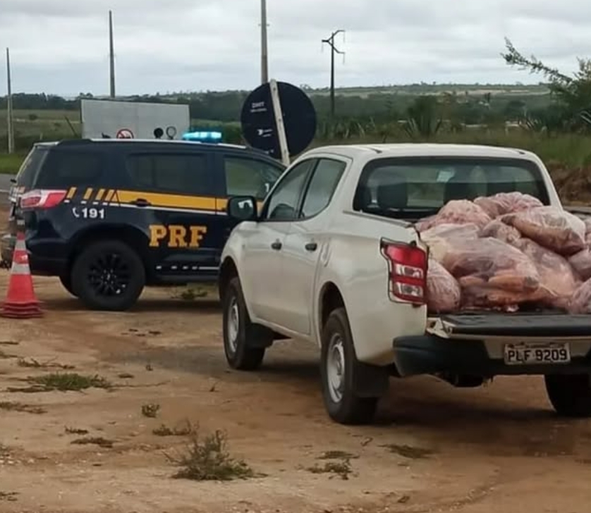 Operação conjunta apreende 1,3 tonelada de carne clandestina em Jaguaquara