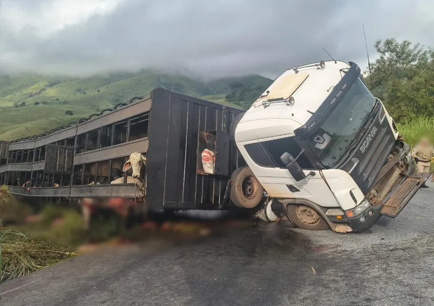 Tragédia na Serra do Marçal: Caminhão tomba e deixa animais mortos em acidente chocante
