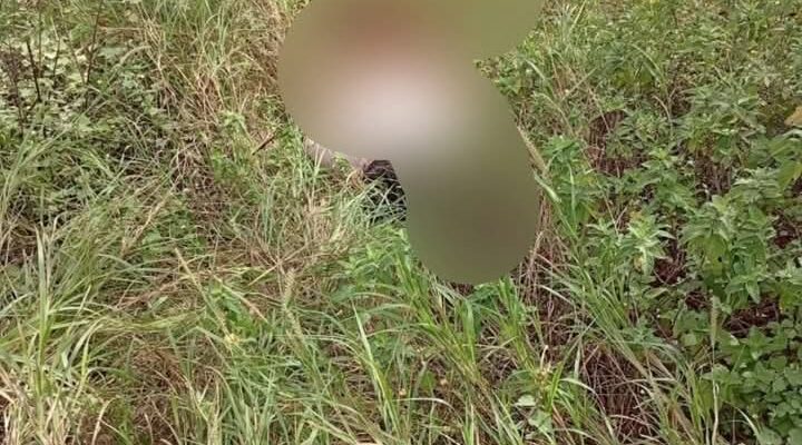 Corpo é encontrado morto em matagal em Anagé