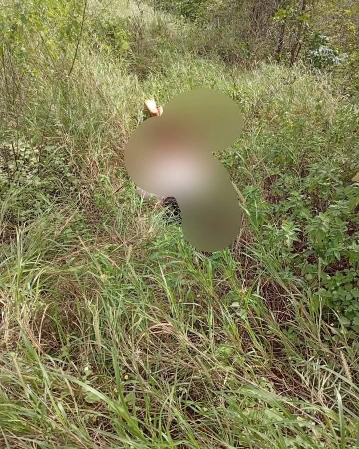 Corpo é encontrado morto em matagal em Anagé