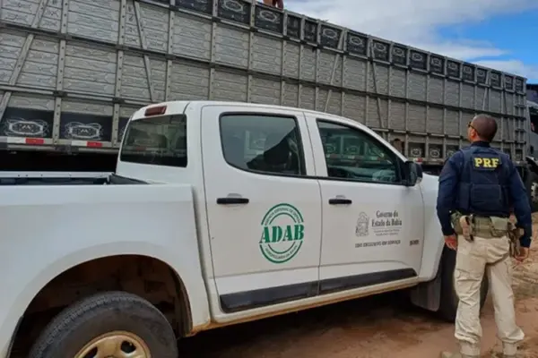 Escândalo na BR-242: 50 animais são resgatados em condições desumanas