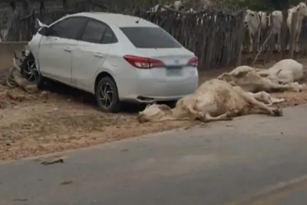 Menor atropela animais e invade curral em estrada rural de Brumado