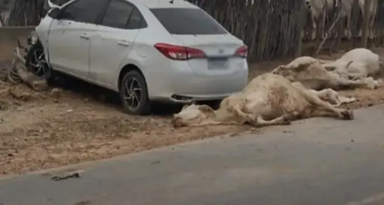 Menor atropela animais e invade curral em estrada rural de Brumado