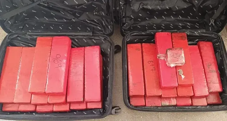 Polícia Militar apreende 28 kg de maconha em Urandi em operação antes do São João de Guanambi