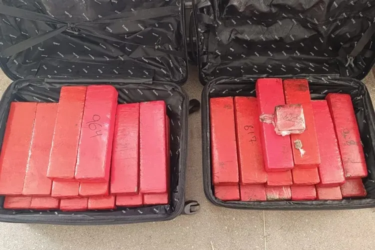 Polícia Militar apreende 28 kg de maconha em Urandi em operação antes do São João de Guanambi