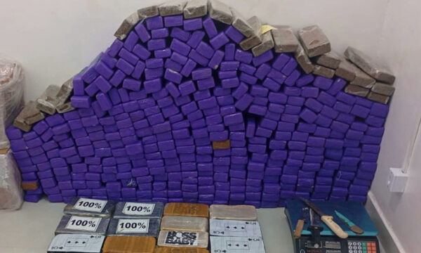 Mais de 370 tabletes de drogas são apreendidos em Vitória da Conquista; mulher é presa