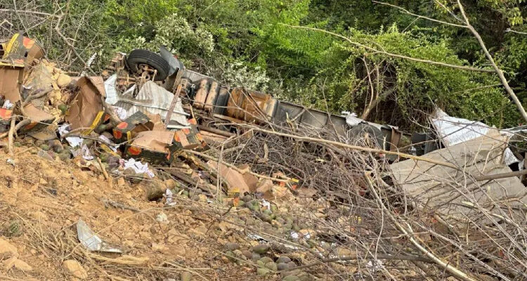 Caminhão carregado com mangas tomba na Serra das Almas, em Livramento