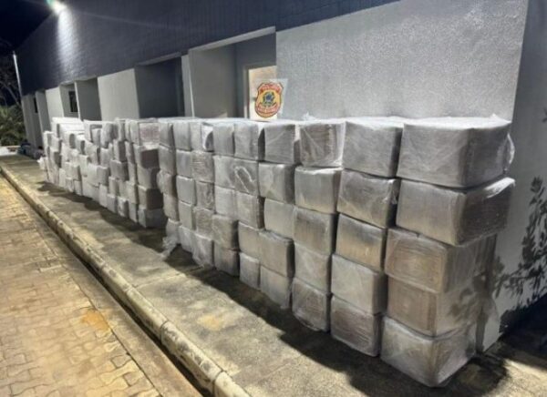 PF deflagra Operação Carga Oculta e mira organização criminosa ligada ao tráfico e lavagem de dinheiro