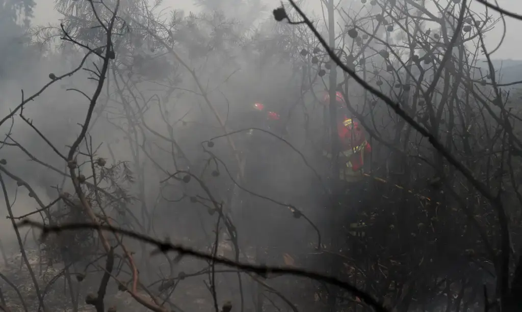 UE: incêndios florestais já queimaram mais de 1 milhão de hectares