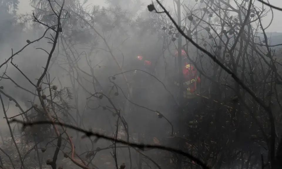 UE: incêndios florestais já queimaram mais de 1 milhão de hectares