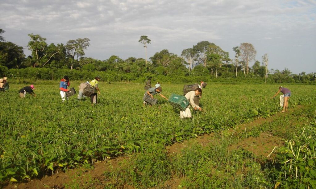 Programa AgroAmigo oferece R$ 1 bilhão em microcrédito