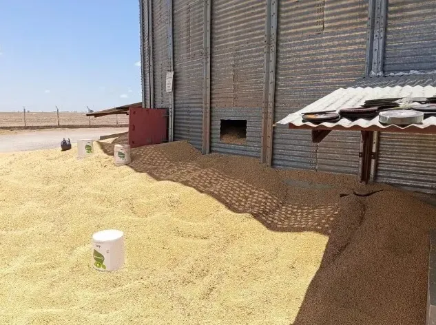 Luís Eduardo Magalhães: Acidente de trabalho deixa um morto e um ferido grave