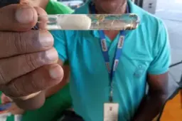 Bahia estabelece novas regras para acesso a imóveis em situações de emergência sanitária