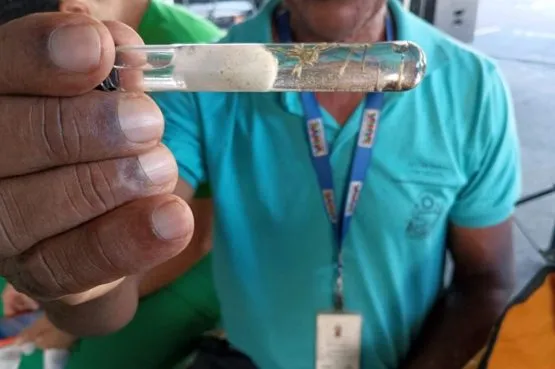 Bahia estabelece novas regras para acesso a imóveis em situações de emergência sanitária