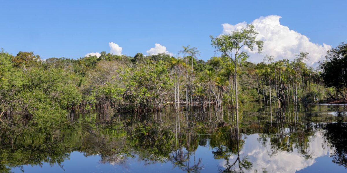 Brasil capta R$ 179 bilhões para projetos de transição ecológica desde 2023 Brasil capta R$ 179 bilhões para projetos de transição ecológica desde 2023