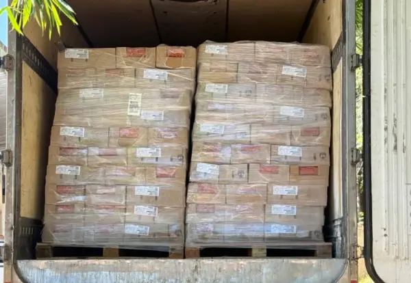 Polícia Civil apreende caminhão com 25 toneladas de salsicha vencida na BR-324