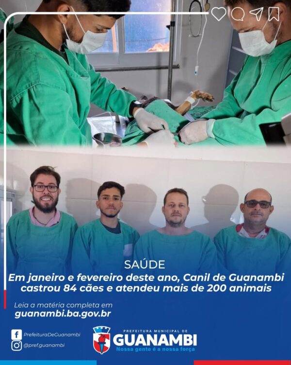 Canil de Guanambi realiza 84 castrações e atende mais de 200 animais em dois meses