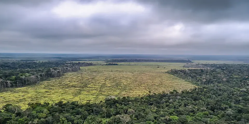 Redução nas emissões de gases no Brasil em 2024, mas desafios climáticos permanecem