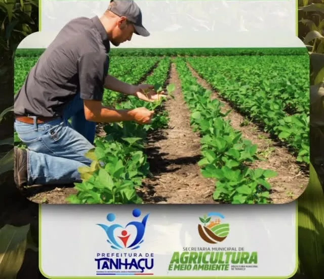 Pagamento do Garantia Safra para produtores de Tanhaçu começa nesta semana