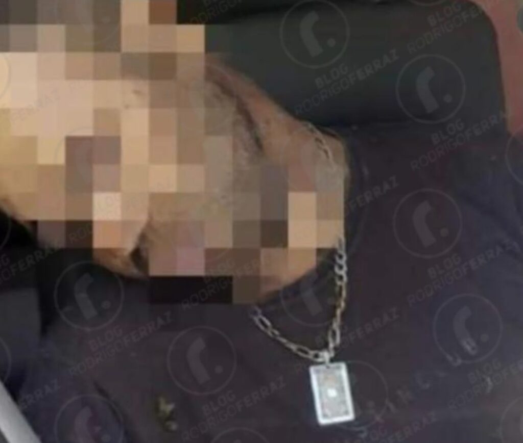 Tragédia em Minas: Homem falece após ser atacado por abelhas