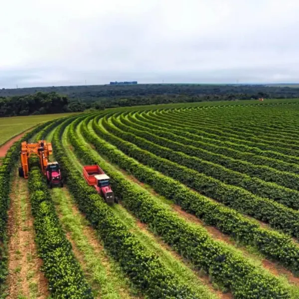 Minas Gerais atinge PIB recorde de R$ 1,157 trilhão em 2025