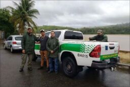 Gato do mato confundido com filhote de onça gera confusão e mobiliza Ibama
