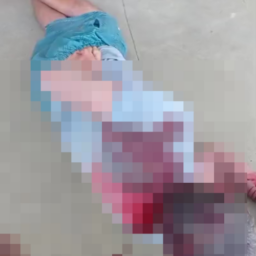 Idoso com deficiência é atacado em tentativa de homicídio na zona rural da Barra