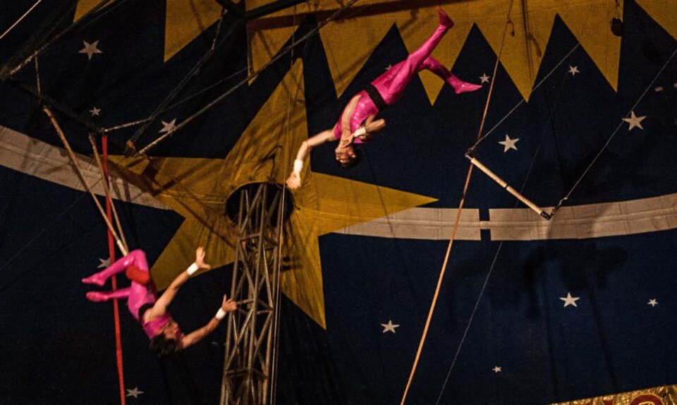 Circo de Tradição Familiar se torna Patrimônio Cultural do Brasil Circo de Tradição Familiar se torna Patrimônio Cultural do Brasil