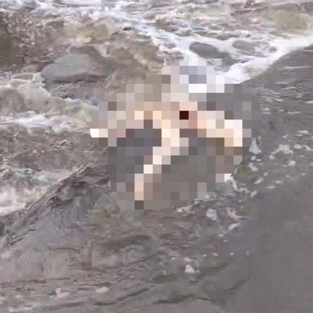 Conquista: Mulher encontrada morta após ser arrastada por enchente pode ser de Rosânia Silva