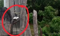 Tanhaçu: Lavrador morre eletrocutado enquanto trabalhava em fazenda