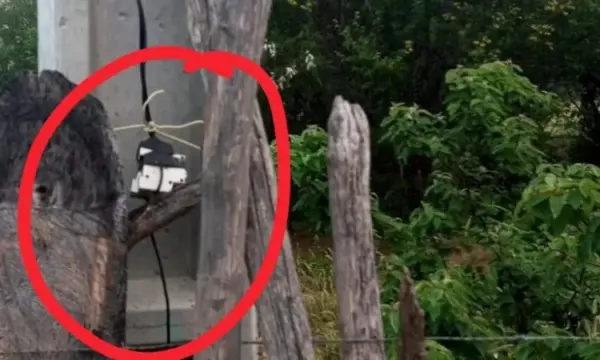 Tanhaçu: Lavrador morre eletrocutado enquanto trabalhava em fazenda