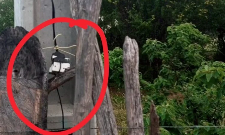 Tanhaçu: Lavrador morre eletrocutado enquanto trabalhava em fazenda