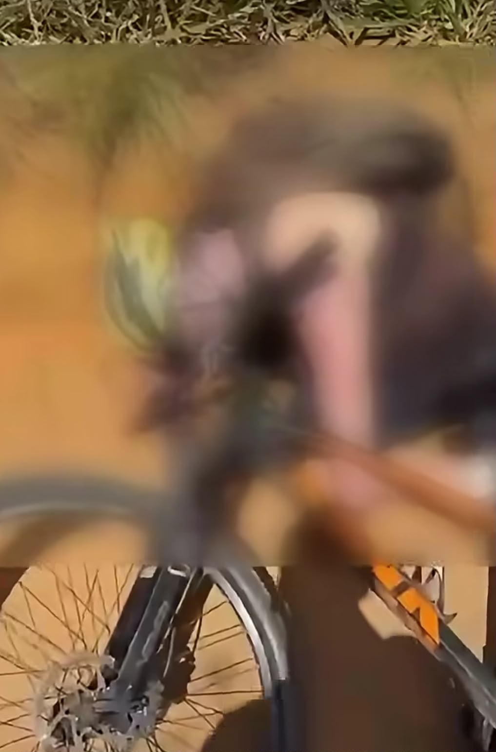 Rodrigo é identificado como ciclista encontrado sem vida em Vitória da Conquista