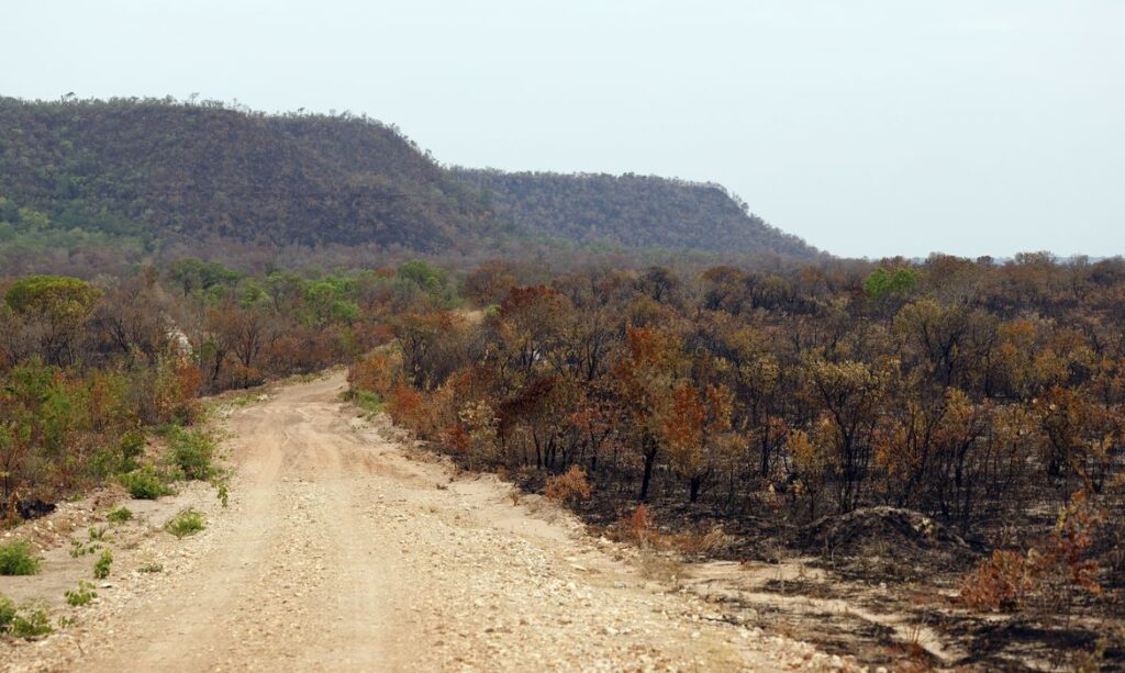 Mapbiomas: menor vegetação nativa expõe mais o país ao El Niño Mapbiomas: menor vegetação nativa expõe mais o país ao El Niño