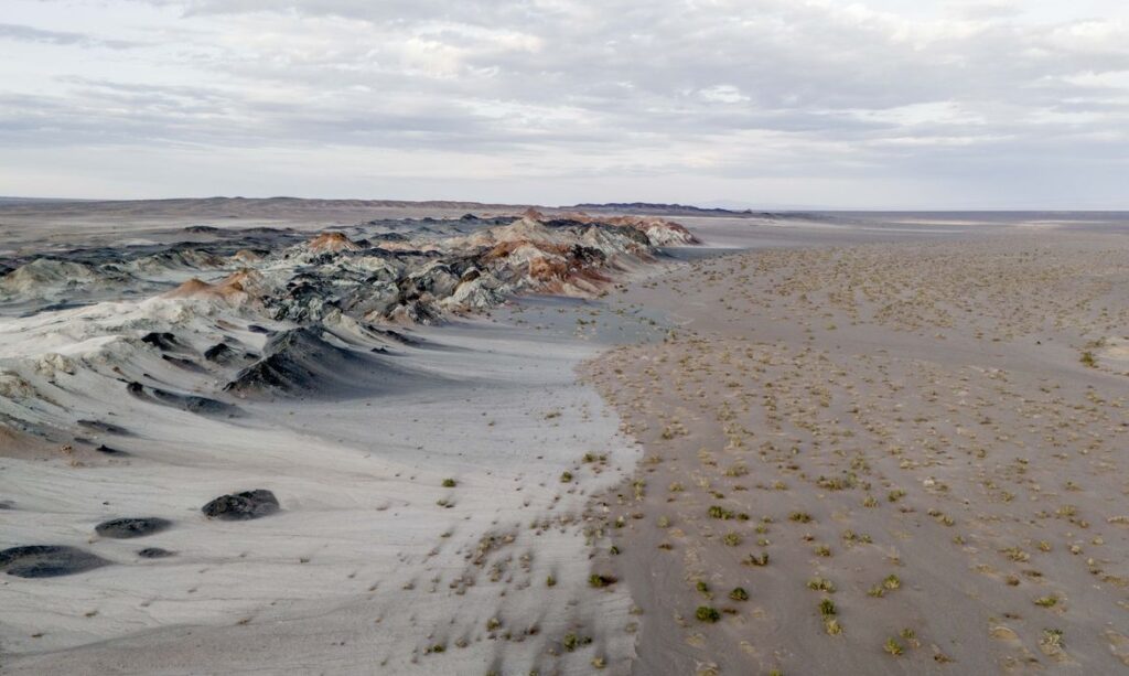 Fungos podem restaurar terras degradadas e combater crise climática Fungos podem restaurar terras degradadas e combater crise climática
