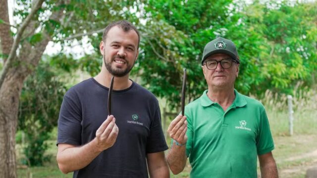 Empresa criada em Itapetinga transforma cultivo de baunilha em negócio milionário e mira mercado internacional
