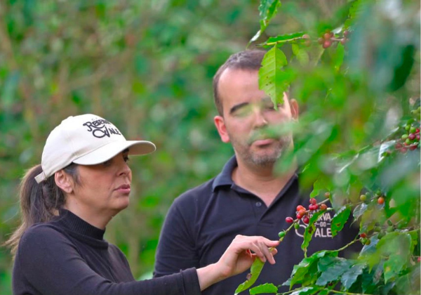 Festival de Inverno Bahia 2026 destaca cafés especiais produzidos no Planalto da Conquista