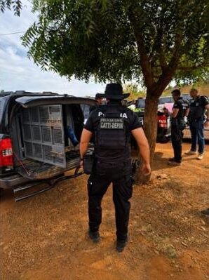 Motorista é suspeito de inventar assalto e desviar malote com R$ 80 mil em Guanambi Motorista é suspeito de inventar assalto e desviar malote com R$ 80 mil em Guanambi